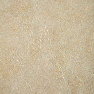 KRAVET COUTURE L-GILDED.PLATINUM.0 L-GILDED PLATINUM Fabric - Eade's Wallpaper