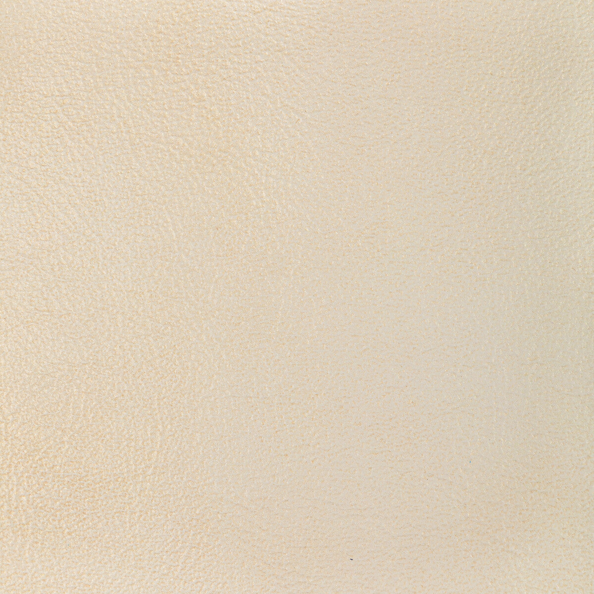 KRAVET DESIGN L-GLISTEN.SEASHELL.0 L-GLISTEN-SEASHELL  Fabric - Eade's Wallpaper
