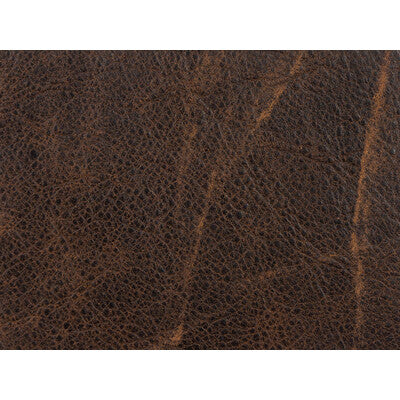 KRAVET DESIGN L-GUAPO.MIDNIGHT.0 KRAVET DESIGN L-GUAPO-MIDNIGHT Fabric - Eade's Wallpaper