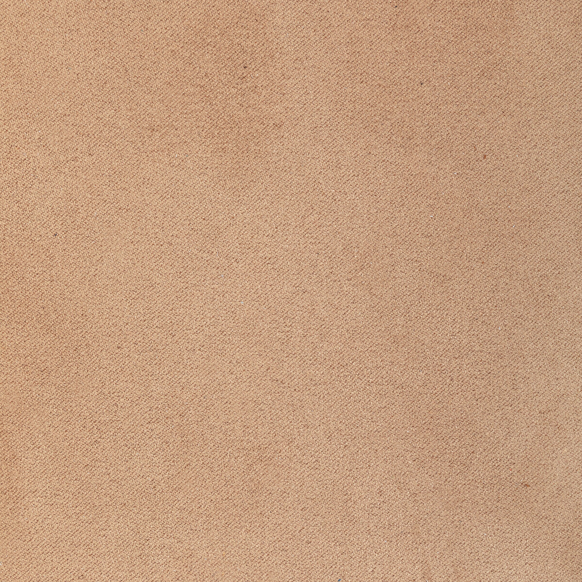 KRAVET DESIGN L-HALTER.LATTE.0 KRAVET DESIGN L-HALTER-LATTE Fabric - Eade's Wallpaper
