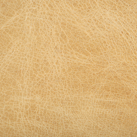 KRAVET COUTURE L-HAUTE.BLONDE.0 KRAVET COUTURE L-HAUTE-BLONDE Fabric - Eade's Wallpaper