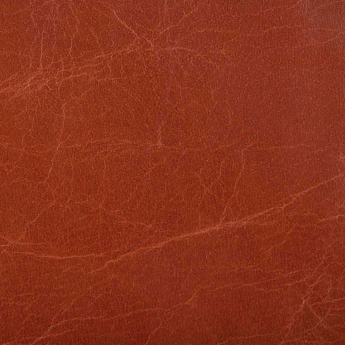 KRAVET COUTURE L-HAUTE.MADDER.0 KRAVET COUTURE L-HAUTE-MADDER Fabric - Eade's Wallpaper