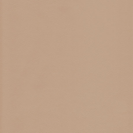 KRAVET DESIGN L-HOWDY.BIRCH.0 KRAVET DESIGN L-HOWDY-BIRCH Fabric - Eade's Wallpaper