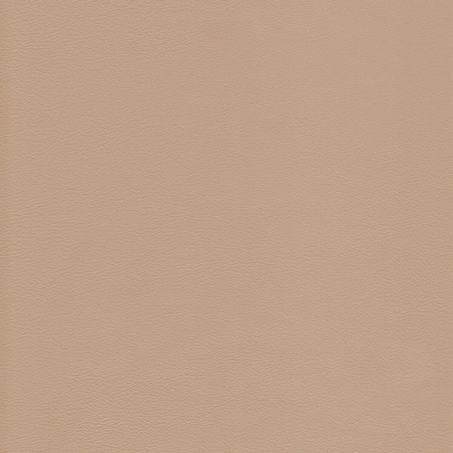 KRAVET DESIGN L-HOWDY.BIRCH.0 KRAVET DESIGN L-HOWDY-BIRCH Fabric - Eade's Wallpaper
