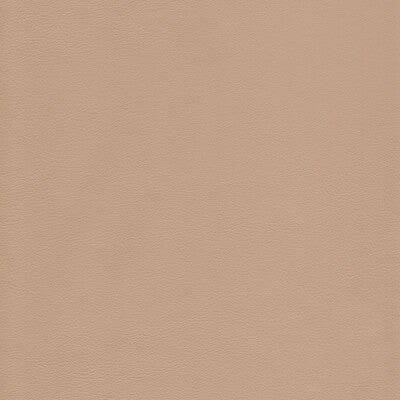 KRAVET DESIGN L-HOWDY.BIRCH.0 KRAVET DESIGN L-HOWDY-BIRCH Fabric - Eade's Wallpaper