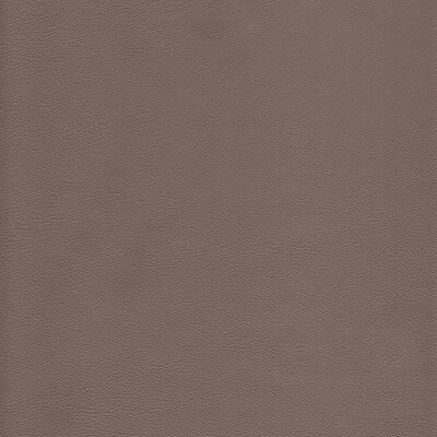 KRAVET DESIGN L-HOWDY.DOLPHIN.0 KRAVET DESIGN L-HOWDY-DOLPHIN Fabric - Eade's Wallpaper