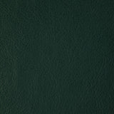KRAVET DESIGN L-HOWDY.EMERALD.0 KRAVET DESIGN L-HOWDY-EMERALD Fabric - Eade's Wallpaper