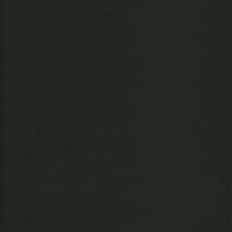 KRAVET DESIGN L-HOWDY.EVERGREEN.0 KRAVET DESIGN L-HOWDY-EVERGREEN Fabric - Eade's Wallpaper