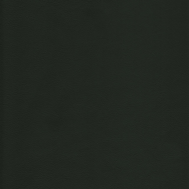 KRAVET DESIGN L-HOWDY.EVERGREEN.0 KRAVET DESIGN L-HOWDY-EVERGREEN Fabric - Eade's Wallpaper