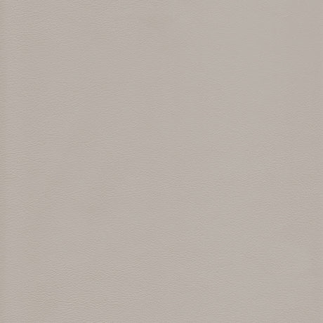 KRAVET DESIGN L-HOWDY.GREY.0 KRAVET DESIGN L-HOWDY-GREY Fabric - Eade's Wallpaper