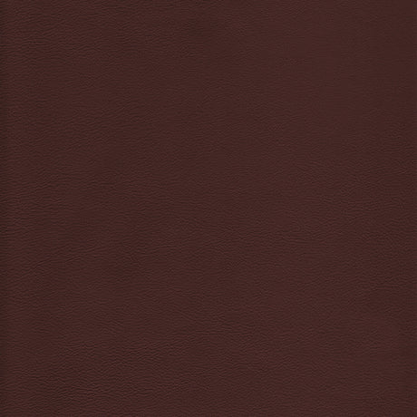 KRAVET DESIGN L-HOWDY.LATTE.0 KRAVET DESIGN L-HOWDY-LATTE Fabric - Eade's Wallpaper
