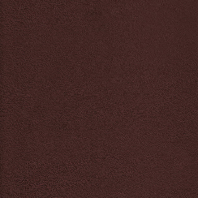KRAVET DESIGN L-HOWDY.LATTE.0 KRAVET DESIGN L-HOWDY-LATTE Fabric - Eade's Wallpaper