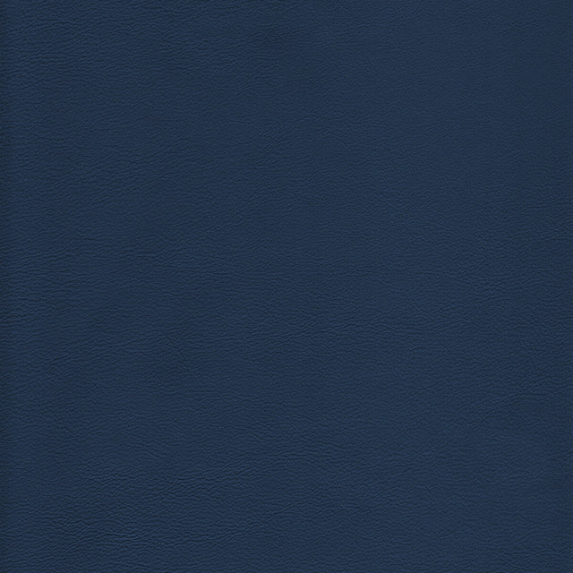 KRAVET DESIGN L-HOWDY.MARINE.0 KRAVET DESIGN L-HOWDY-MARINE Fabric - Eade's Wallpaper