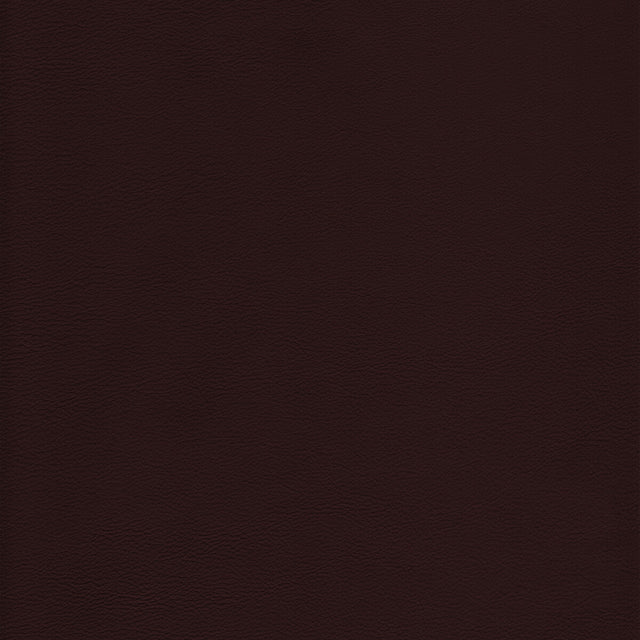 KRAVET DESIGN L-HOWDY.MOCHA.0 KRAVET DESIGN L-HOWDY-MOCHA Fabric - Eade's Wallpaper