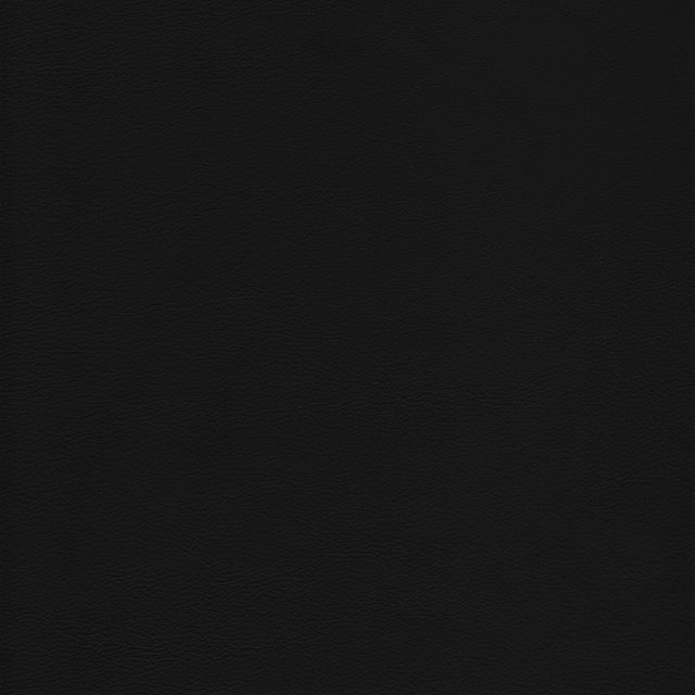 KRAVET DESIGN L-HOWDY.NOIR.0 KRAVET DESIGN L-HOWDY-NOIR Fabric - Eade's Wallpaper