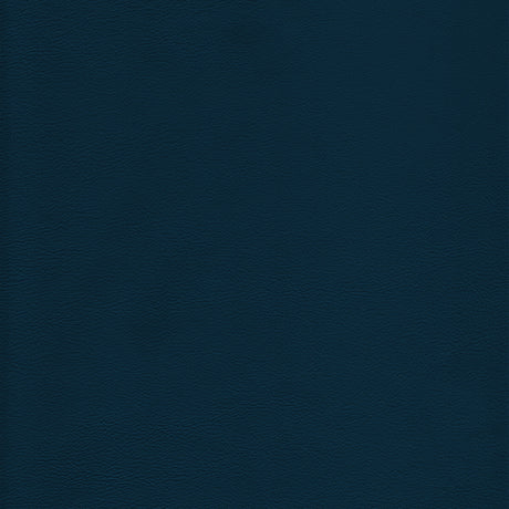 KRAVET DESIGN L-HOWDY.OCEAN.0 KRAVET DESIGN L-HOWDY-OCEAN Fabric - Eade's Wallpaper