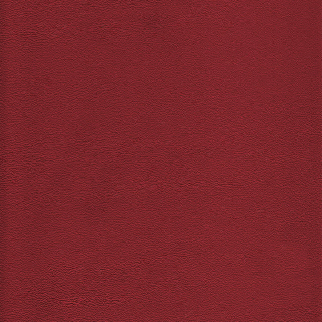 KRAVET DESIGN L-HOWDY.SALSA.0 KRAVET DESIGN L-HOWDY-SALSA Fabric - Eade's Wallpaper