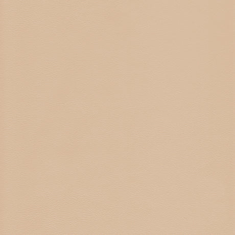 KRAVET DESIGN L-HOWDY.SAND.0 KRAVET DESIGN L-HOWDY-SAND Fabric - Eade's Wallpaper