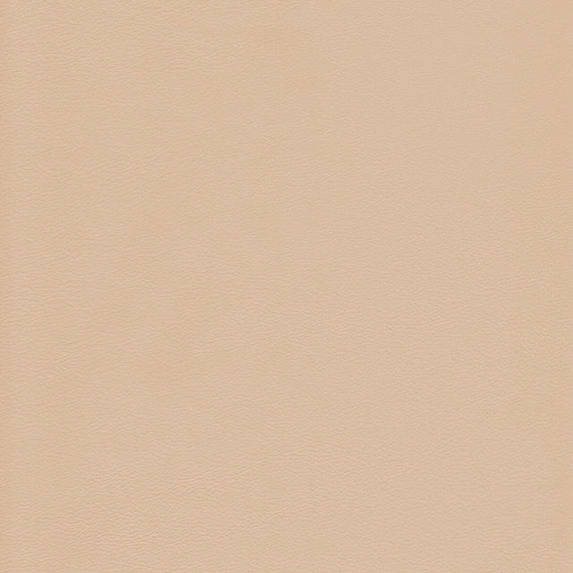 KRAVET DESIGN L-HOWDY.SAND.0 KRAVET DESIGN L-HOWDY-SAND Fabric - Eade's Wallpaper