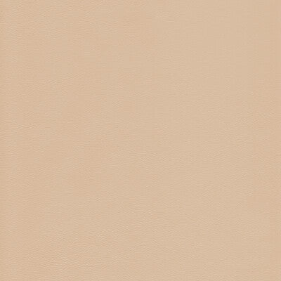 KRAVET DESIGN L-HOWDY.SAND.0 KRAVET DESIGN L-HOWDY-SAND Fabric - Eade's Wallpaper