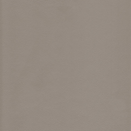 KRAVET DESIGN L-HOWDY.SLATE.0 KRAVET DESIGN L-HOWDY-SLATE Fabric - Eade's Wallpaper