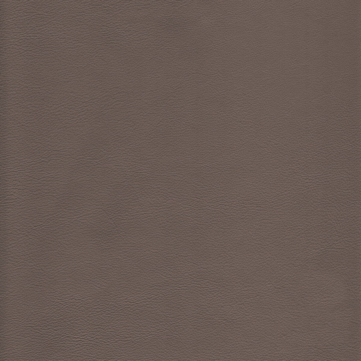 KRAVET DESIGN L-HOWDY.TAUPE.0 KRAVET DESIGN L-HOWDY-TAUPE Fabric - Eade's Wallpaper