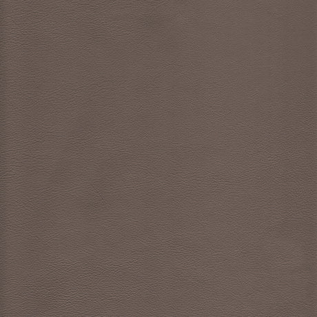 KRAVET DESIGN L-HOWDY.TAUPE.0 KRAVET DESIGN L-HOWDY-TAUPE Fabric - Eade's Wallpaper