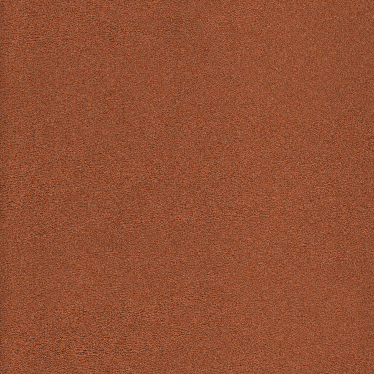 KRAVET DESIGN L-HOWDY.TOFFEE.0 KRAVET DESIGN L-HOWDY-TOFFEE Fabric - Eade's Wallpaper