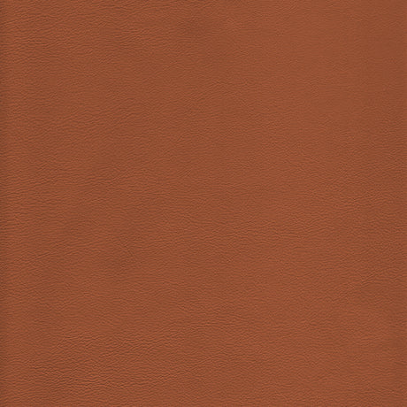 KRAVET DESIGN L-HOWDY.TOFFEE.0 KRAVET DESIGN L-HOWDY-TOFFEE Fabric - Eade's Wallpaper