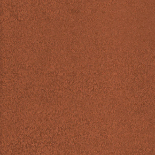 KRAVET DESIGN L-HOWDY.TOFFEE.0 KRAVET DESIGN L-HOWDY-TOFFEE Fabric - Eade's Wallpaper