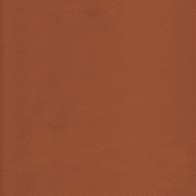 KRAVET DESIGN L-HOWDY.TOFFEE.0 KRAVET DESIGN L-HOWDY-TOFFEE Fabric - Eade's Wallpaper