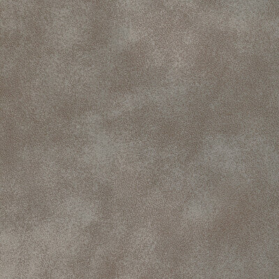 KRAVET DESIGN L-ISLETA.STONE.0 KRAVET DESIGN L-ISLETA-STONE Fabric - Eade's Wallpaper