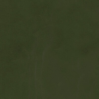 KRAVET DESIGN L-LOBO.LEAF.0 KRAVET DESIGN L-LOBO-LEAF Fabric - Eade's Wallpaper