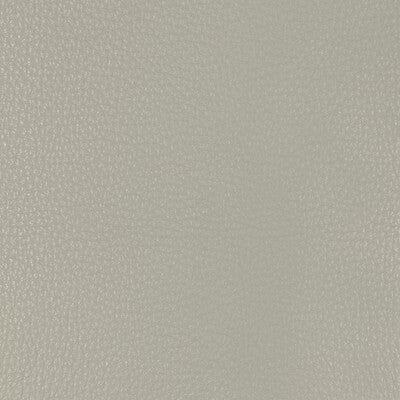 KRAVET DESIGN L-MALPAIS.STONE.0 KRAVET DESIGN L-MALPAIS-STONE Fabric - Eade's Wallpaper