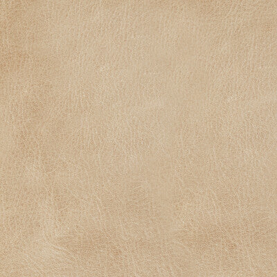 KRAVET DESIGN L-MANE.DRIFT.0 KRAVET DESIGN L-MANE-DRIFT Fabric - Eade's Wallpaper