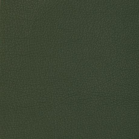 KRAVET DESIGN L-MANZANO.SAGE.0 KRAVET DESIGN L-MANZANO-SAGE Fabric - Eade's Wallpaper