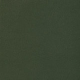 KRAVET DESIGN L-MANZANO.SAGE.0 KRAVET DESIGN L-MANZANO-SAGE Fabric - Eade's Wallpaper