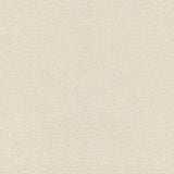 KRAVET DESIGN L-MESQUITE.PEARL.0 KRAVET DESIGN L-MESQUITE-PEARL Fabric - Eade's Wallpaper