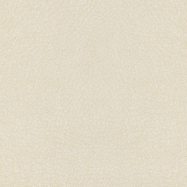 KRAVET DESIGN L-MESQUITE.PEARL.0 KRAVET DESIGN L-MESQUITE-PEARL Fabric - Eade's Wallpaper