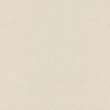 KRAVET DESIGN L-MESQUITE.PEARL.0 KRAVET DESIGN L-MESQUITE-PEARL Fabric - Eade's Wallpaper