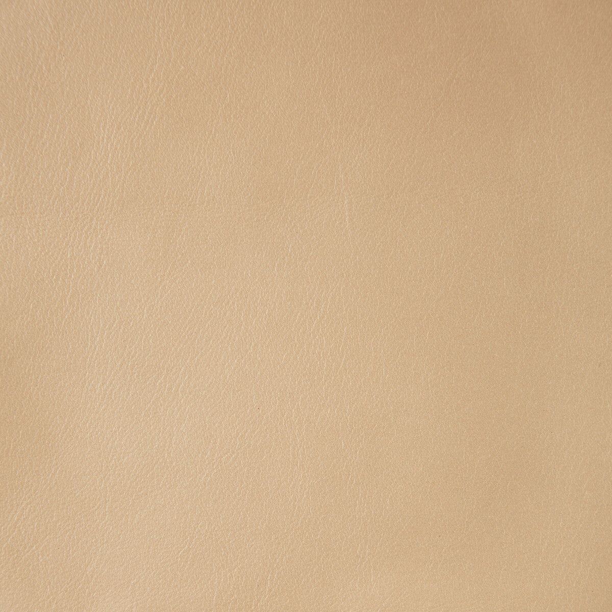 KRAVET DESIGN L-NAMIB.SAND.0 KRAVET DESIGN L-NAMIB-SAND Fabric - Eade's Wallpaper