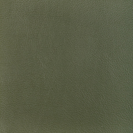KRAVET DESIGN L-OCOTILLO.HUNTER.0 KRAVET DESIGN L-OCOTILLO-HUNTER Fabric - Eade's Wallpaper
