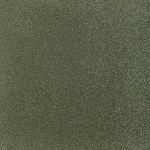 KRAVET DESIGN L-OCOTILLO.HUNTER.0 KRAVET DESIGN L-OCOTILLO-HUNTER Fabric - Eade's Wallpaper