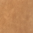 KRAVET DESIGN L-OPE.FAWN.0 KRAVET DESIGN L-OPE-FAWN Fabric - Eade's Wallpaper