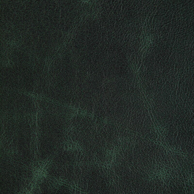 KRAVET DESIGN L-OVINE.HUNTER.0 KRAVET DESIGN L-OVINE-HUNTER Fabric - Eade's Wallpaper
