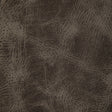 KRAVET DESIGN L-OVINE.SMOKEY.0 KRAVET DESIGN L-OVINE-SMOKEY Fabric - Eade's Wallpaper