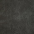 KRAVET DESIGN L-OVINE.STORM.0 KRAVET DESIGN L-OVINE-STORM Fabric - Eade's Wallpaper