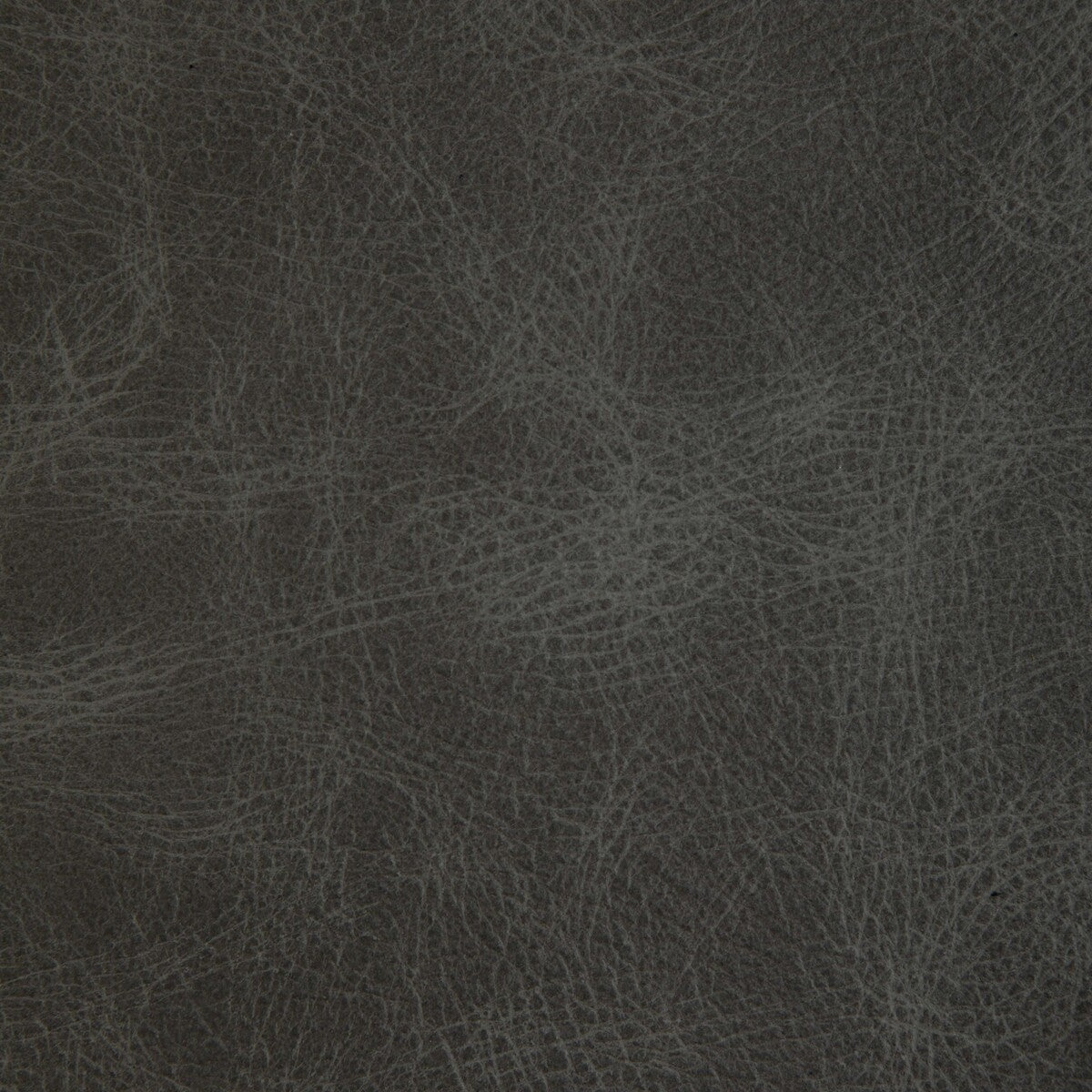 KRAVET DESIGN L-OVINE.STORM.0 KRAVET DESIGN L-OVINE-STORM Fabric - Eade's Wallpaper