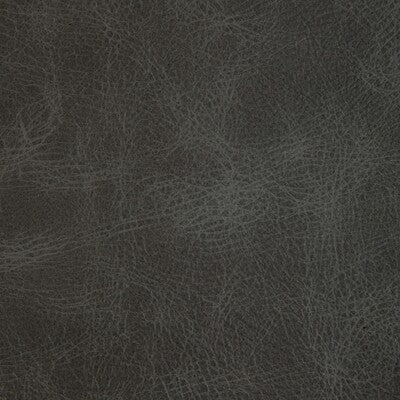 KRAVET DESIGN L-OVINE.STORM.0 KRAVET DESIGN L-OVINE-STORM Fabric - Eade's Wallpaper