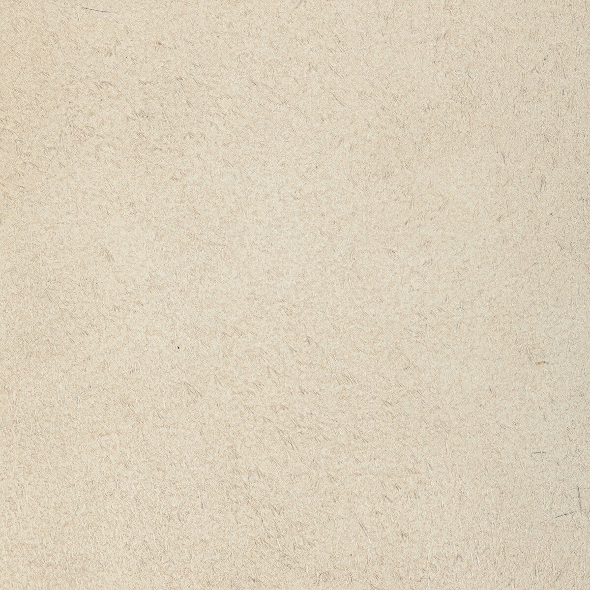 KRAVET DESIGN L-PERCHA.BISCUIT.0 KRAVET DESIGN L-PERCHA-BISCUIT Fabric - Eade's Wallpaper